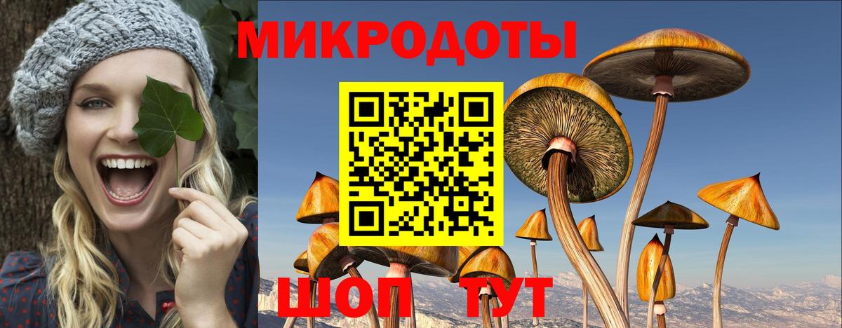 Псилоцибиновые грибы Psilocybe Павлово