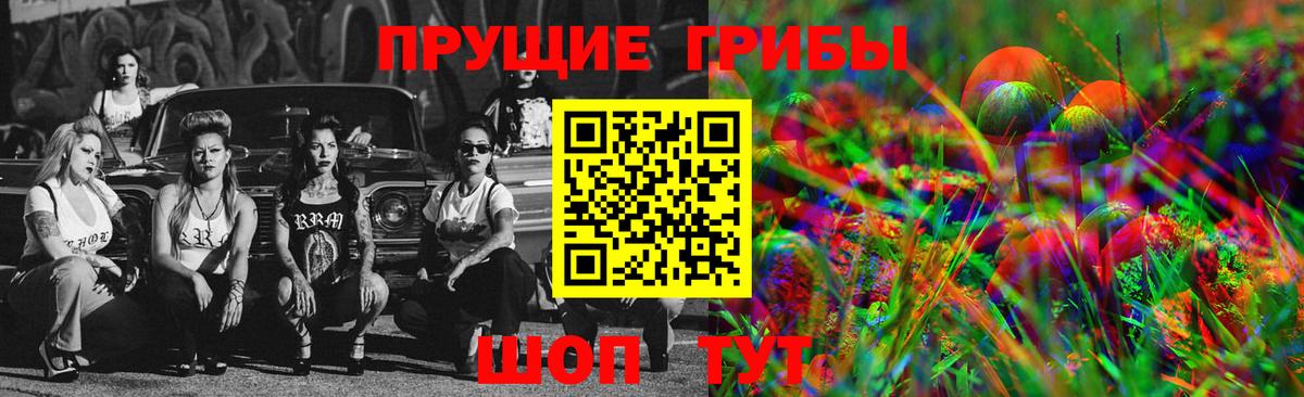Павлово  Псилоцибиновые грибы GOLDEN TEACHER  Вход с VPN 
